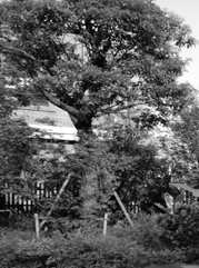 黑龙江注册公司